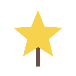 Christmas star  Icon