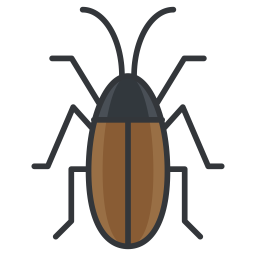 Cockroach  Icon