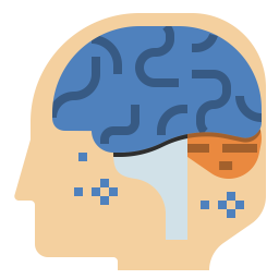 Brain  Icon