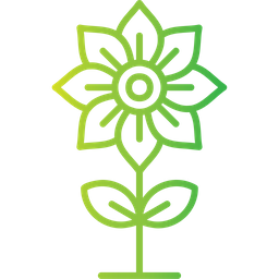 Flower  Icon