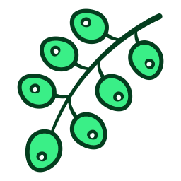 Currant  Icon