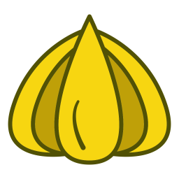 Garlic  Icon