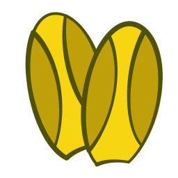 Chicory  Icon