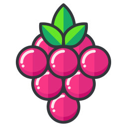 Berries  Icon