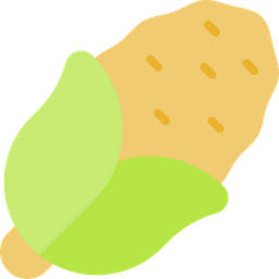 Corn  Icon