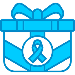 Giftbox  Icon