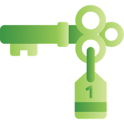 Door key  Icon