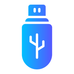 Flash Drive  Icon