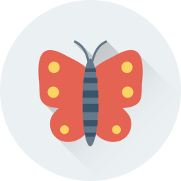 Butterfly  Icon