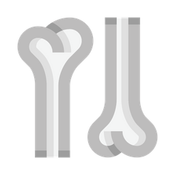 Bones  Icon