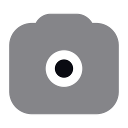 Camera  Icon