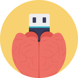 Brain Flash Drive  Icon