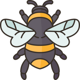 Bee  Icon