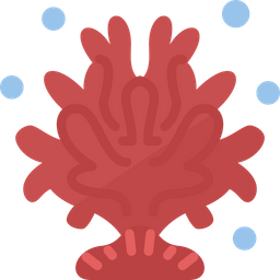 Coral  Icon