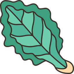 Kale  Icon