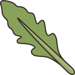 Arugula  Icon