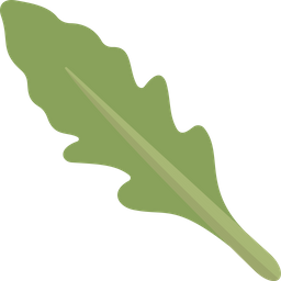 Arugula  Icon