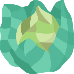 Cabbage  Icon