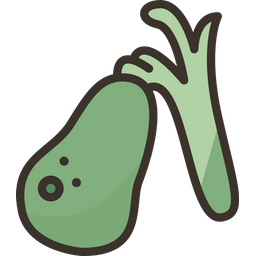 Gallbladder  Icon