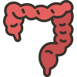 Intestines  Icon