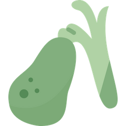 Gallbladder  Icon