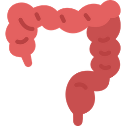 Intestines  Icon