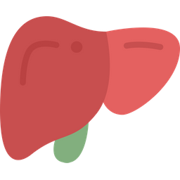 Liver  Icon