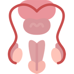 Reproductive Male Prostate Icon
