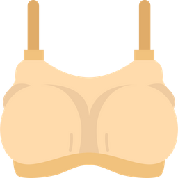 Bra  Icon