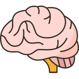 Brain  Icon