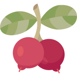 Lingonberry  Icon