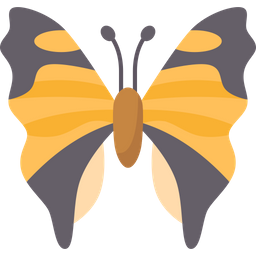 Butterfly  Icon