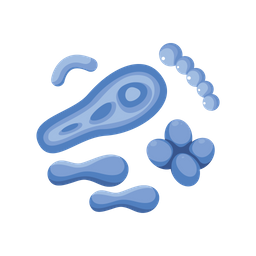 Bacteria  Icon