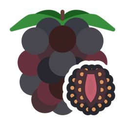 Blackberry  Icon