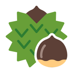 Chestnut  Icon