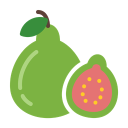 Guava  Icon