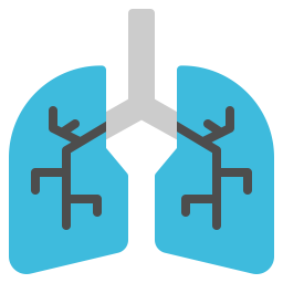 Lunge  Symbol