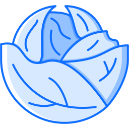 Cabbage  Icon