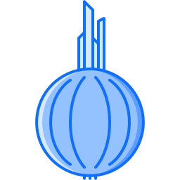 Onion  Icon