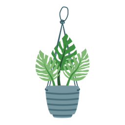 Monstera Deliciosa  Icon