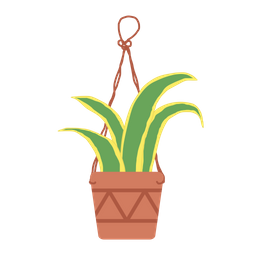 Sansevieria  Icon