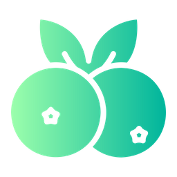 Blueberries  Icon