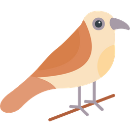 Bird  Icon