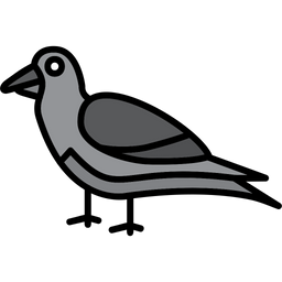 Crow  Icon