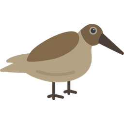 Dunlin  Icon