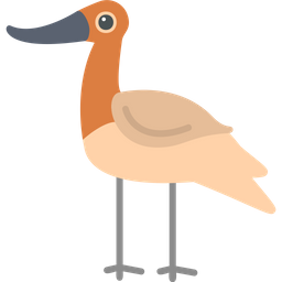 Avocet  Icon