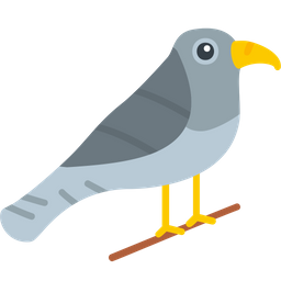 Bird  Icon