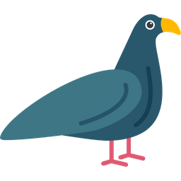 Birds  Icon