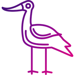 Avocet  Icon