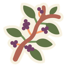 Coffee Plant  Icon